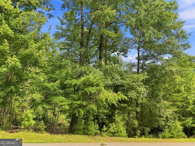 0 Deer Crest Road 22, Blue Ridge, GA 30513