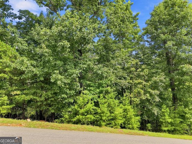 0 Deer Crest Road 22, Blue Ridge, GA 30513