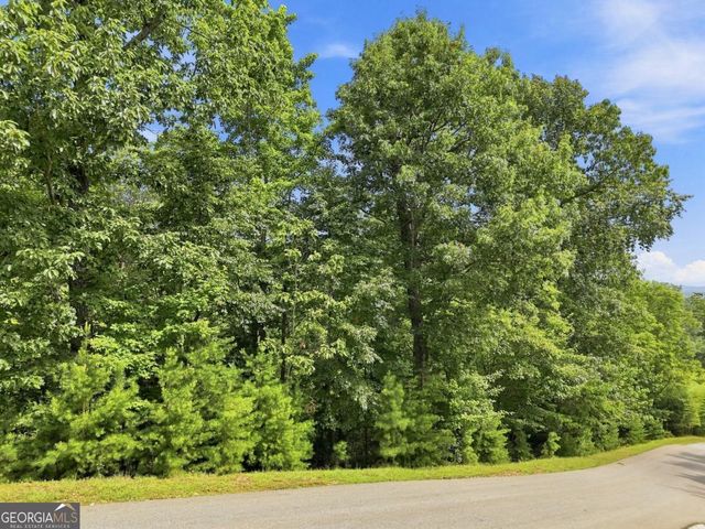 0 Deer Crest Road 22, Blue Ridge, GA 30513