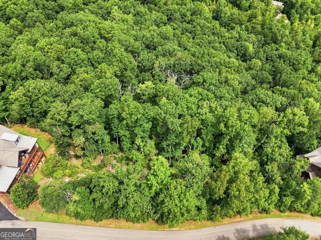 0 Deer Crest Road 22, Blue Ridge, GA 30513
