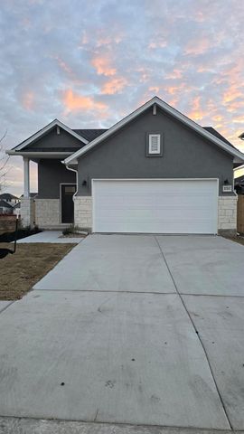 12517 Penguin PATH, Manor, TX 78653