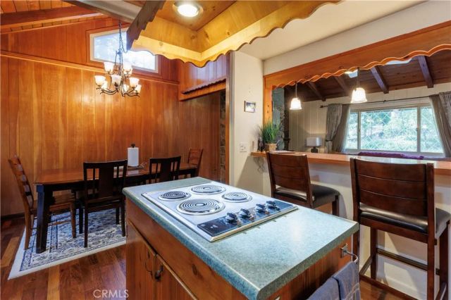 26220 Pine Dell Road, Idyllwild, CA 92549