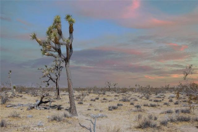 110 Anita, Landers, CA 92285