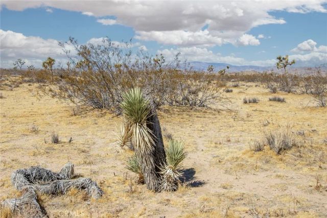 110 Anita, Landers, CA 92285