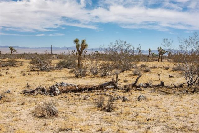 110 Anita, Landers, CA 92285