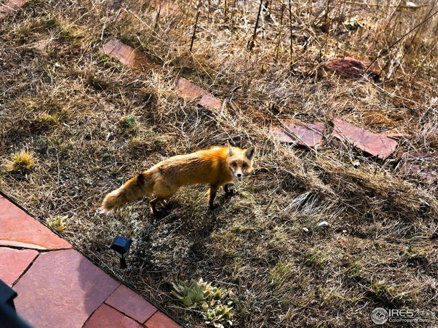 795 Pine Brook Rd, Boulder, CO 80304