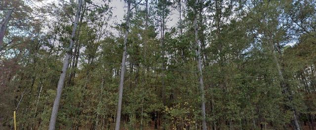 0 San Pedro, Livingston, TX 77351