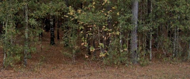 0 San Pedro, Livingston, TX 77351