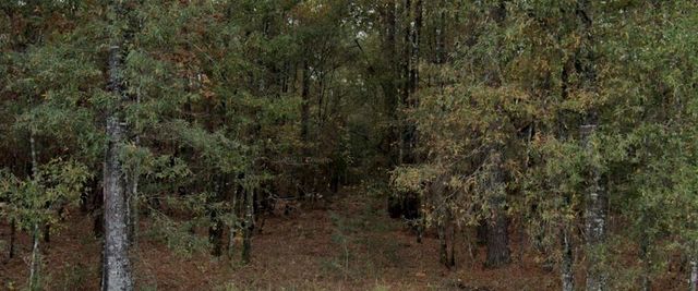 0 San Pedro, Livingston, TX 77351