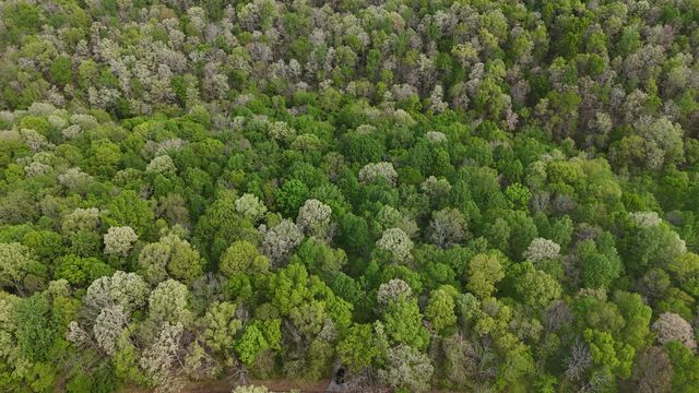 2 Greenbrier Rd, Franklin, TN 37064