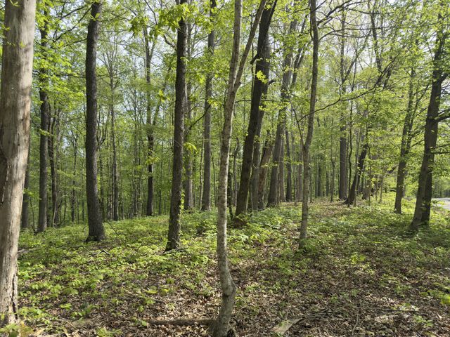 2 Greenbrier Rd, Franklin, TN 37064