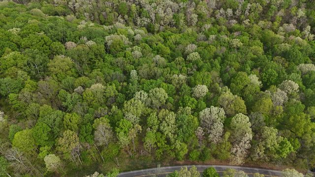 2 Greenbrier Rd, Franklin, TN 37064
