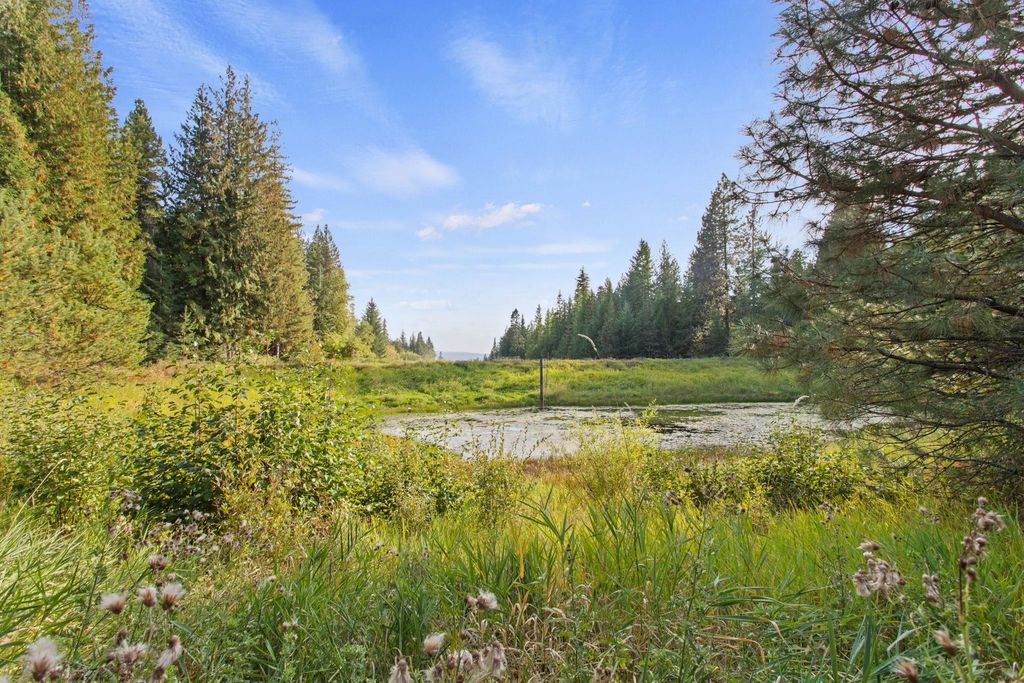 1521 Willms Rd, Elk, WA 99009 photo 20