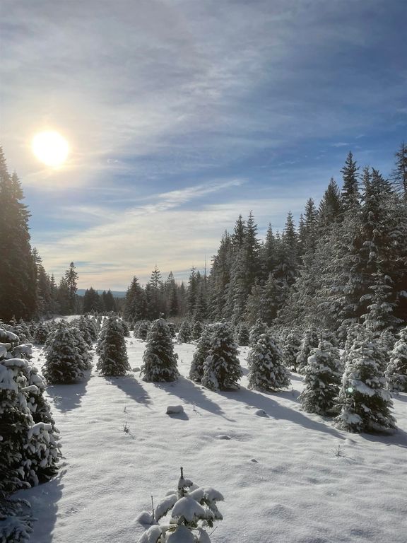 1521 Willms Rd, Elk, WA 99009 photo 38