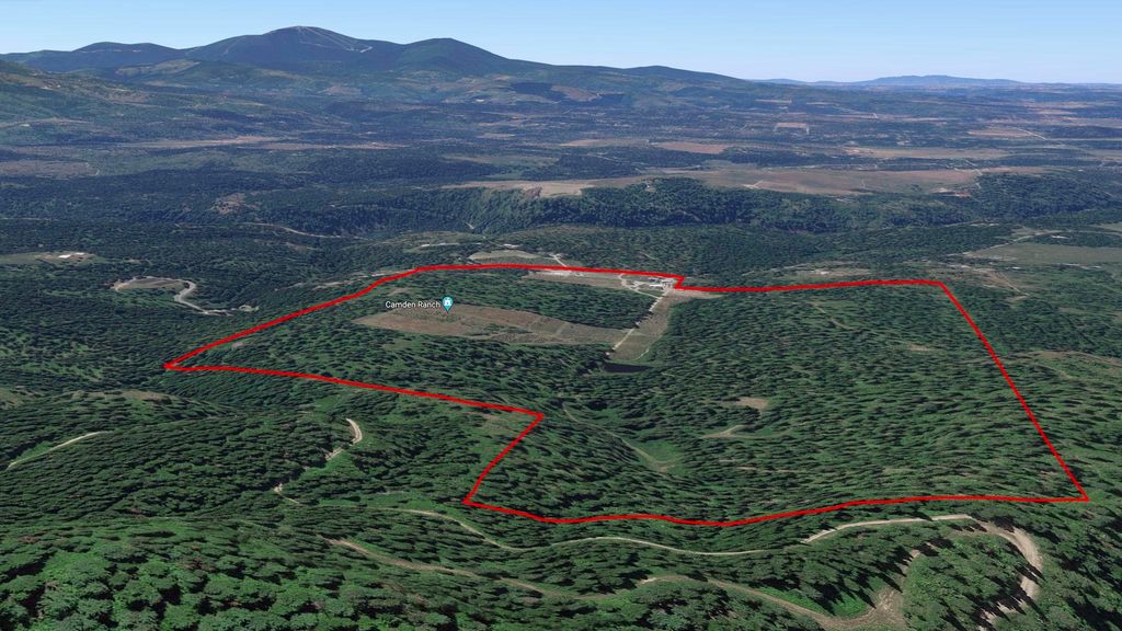 1521 Willms Rd, Elk, WA 99009 photo 49