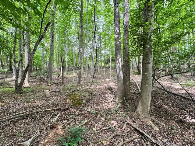 429 Wayne Marshall Road, Elkin, NC 28621