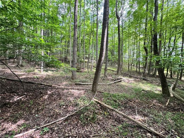 429 Wayne Marshall Road, Elkin, NC 28621