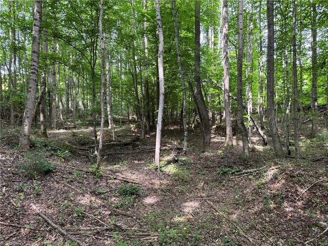 429 Wayne Marshall Road, Elkin, NC 28621