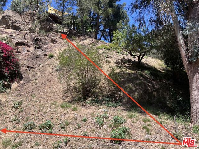 2312 N Bushrod Lane, Los Angeles, CA 90077
