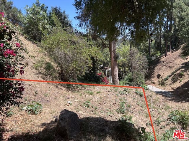 2312 N Bushrod Lane, Los Angeles, CA 90077