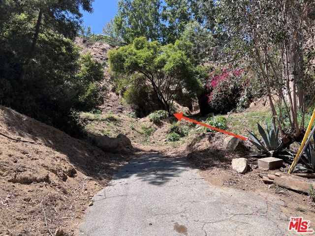 2312 N Bushrod Lane, Los Angeles, CA 90077