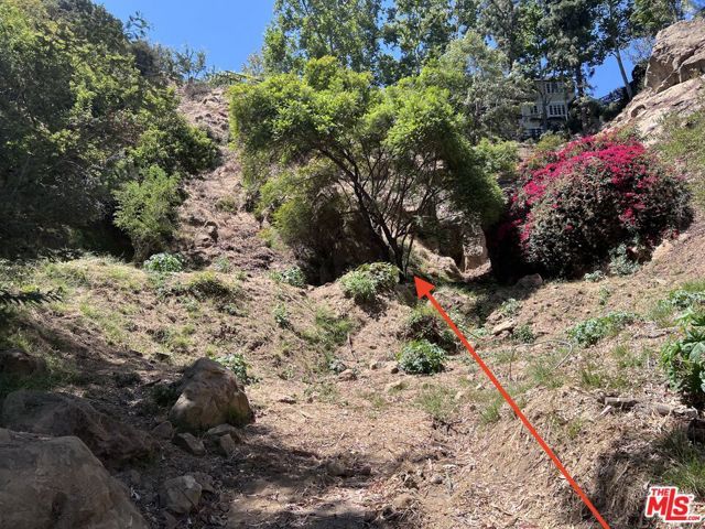 2312 N Bushrod Lane, Los Angeles, CA 90077