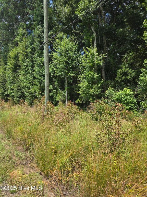 0 Chapman Drive-Lots 19 & 20 Drive, Grifton, NC 28530