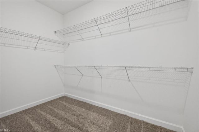 785 Caddie ST, Chesapeake, VA 23322