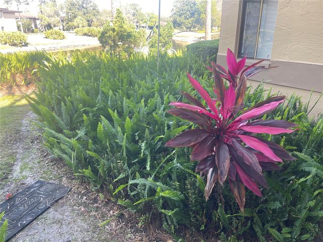 2685 SABAL SPRINGS CIRCLE 102, Clearwater, FL 33761