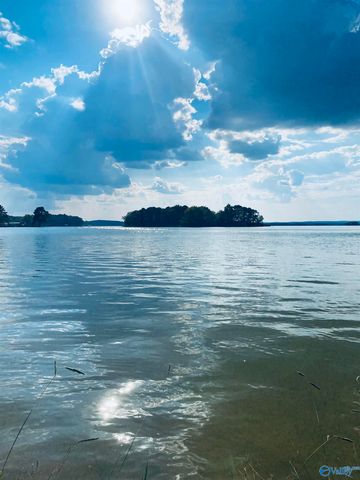 3152 Dykes Bridge Road 205, Cedar Bluff, AL 35959