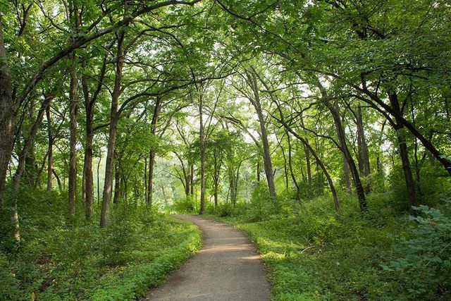 11216 Minnetonka Boulevard, Minnetonka, MN 55305