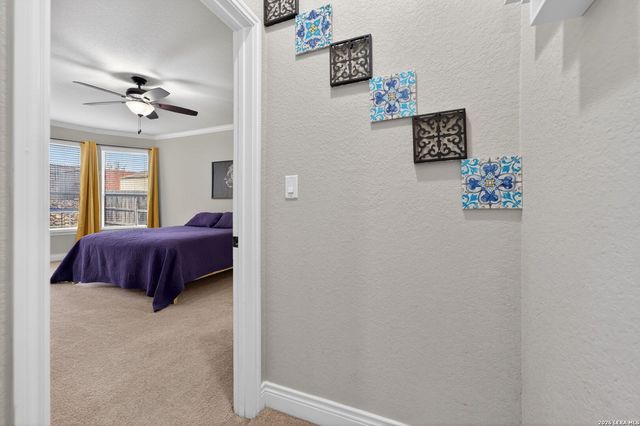 321 Silver Buckle, Schertz, TX 78154