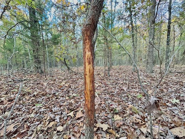 TBD Tract 2 County Road 4215, Salem, MO 65560