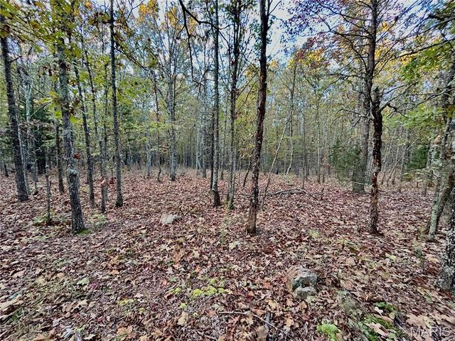 TBD Tract 2 County Road 4215, Salem, MO 65560