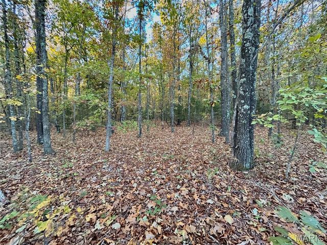 TBD Tract 2 County Road 4215, Salem, MO 65560