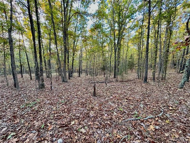 TBD Tract 2 County Road 4215, Salem, MO 65560