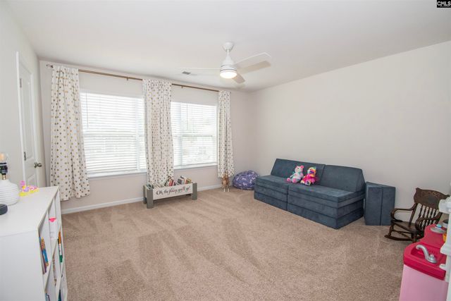 308 Throne Court, Chapin, SC 29036