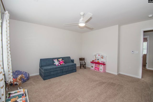 308 Throne Court, Chapin, SC 29036