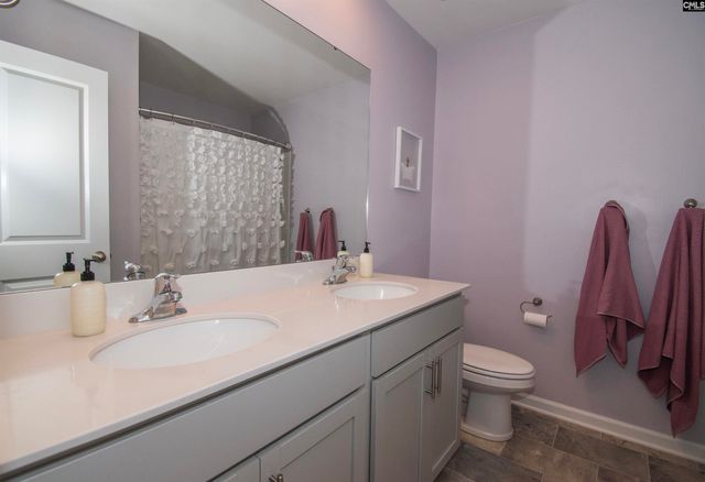 308 Throne Court, Chapin, SC 29036