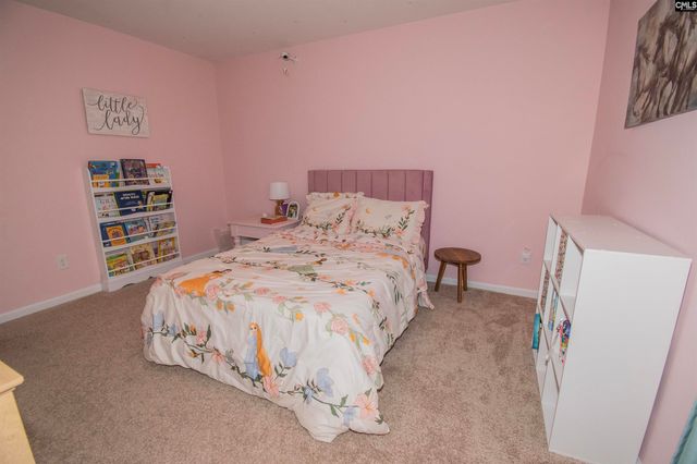 308 Throne Court, Chapin, SC 29036