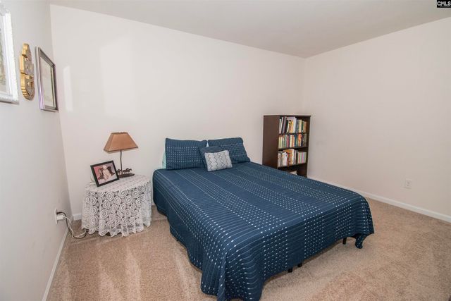 308 Throne Court, Chapin, SC 29036