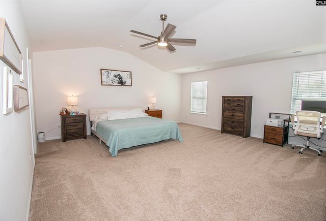 308 Throne Court, Chapin, SC 29036