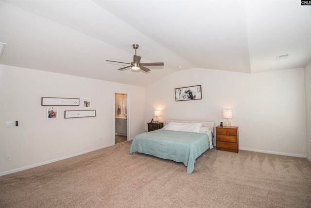 308 Throne Court, Chapin, SC 29036