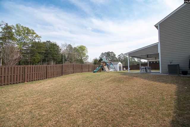 308 Throne Court, Chapin, SC 29036
