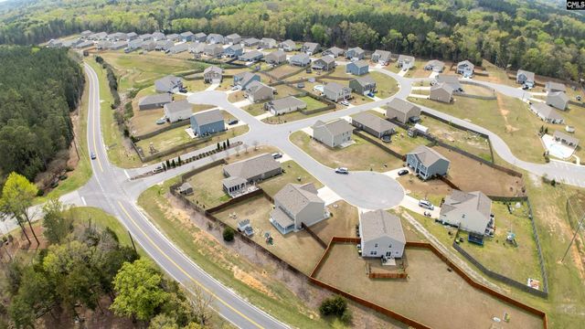 308 Throne Court, Chapin, SC 29036