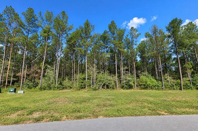 15321 Forest Grove Drive, Willis, TX 77378