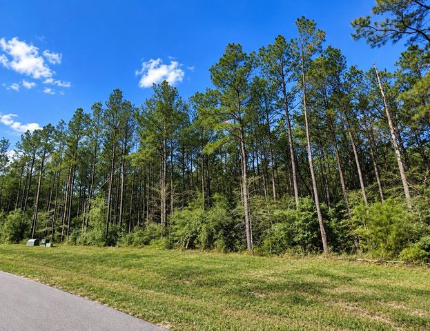 15321 Forest Grove Drive, Willis, TX 77378