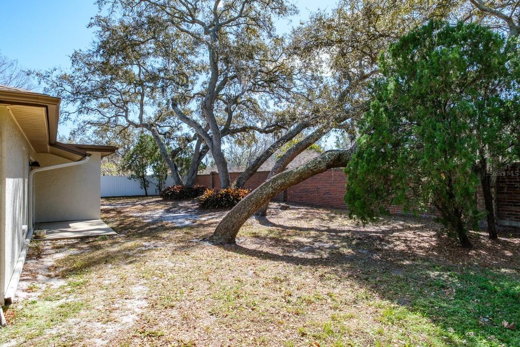 Image 13 of property listing at 2860 LONGLEAF LANE, Palm Harbor, FL 34684