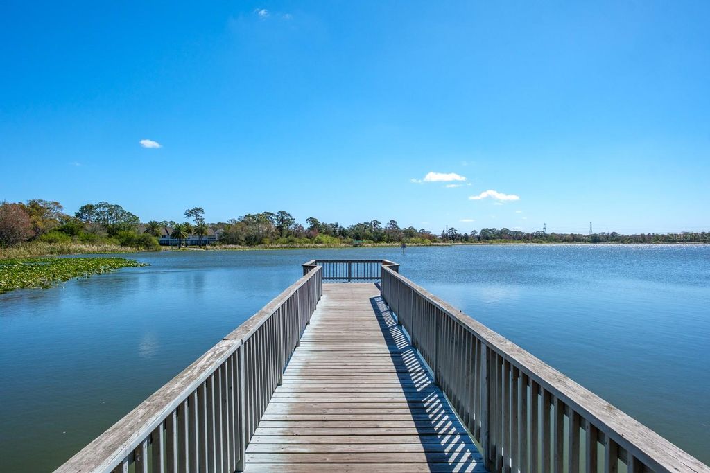 Image 63 of property listing at 2860 LONGLEAF LANE, Palm Harbor, FL 34684