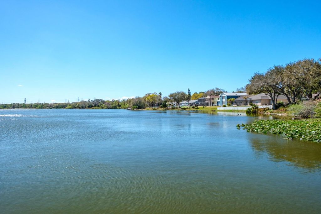 Image 64 of property listing at 2860 LONGLEAF LANE, Palm Harbor, FL 34684